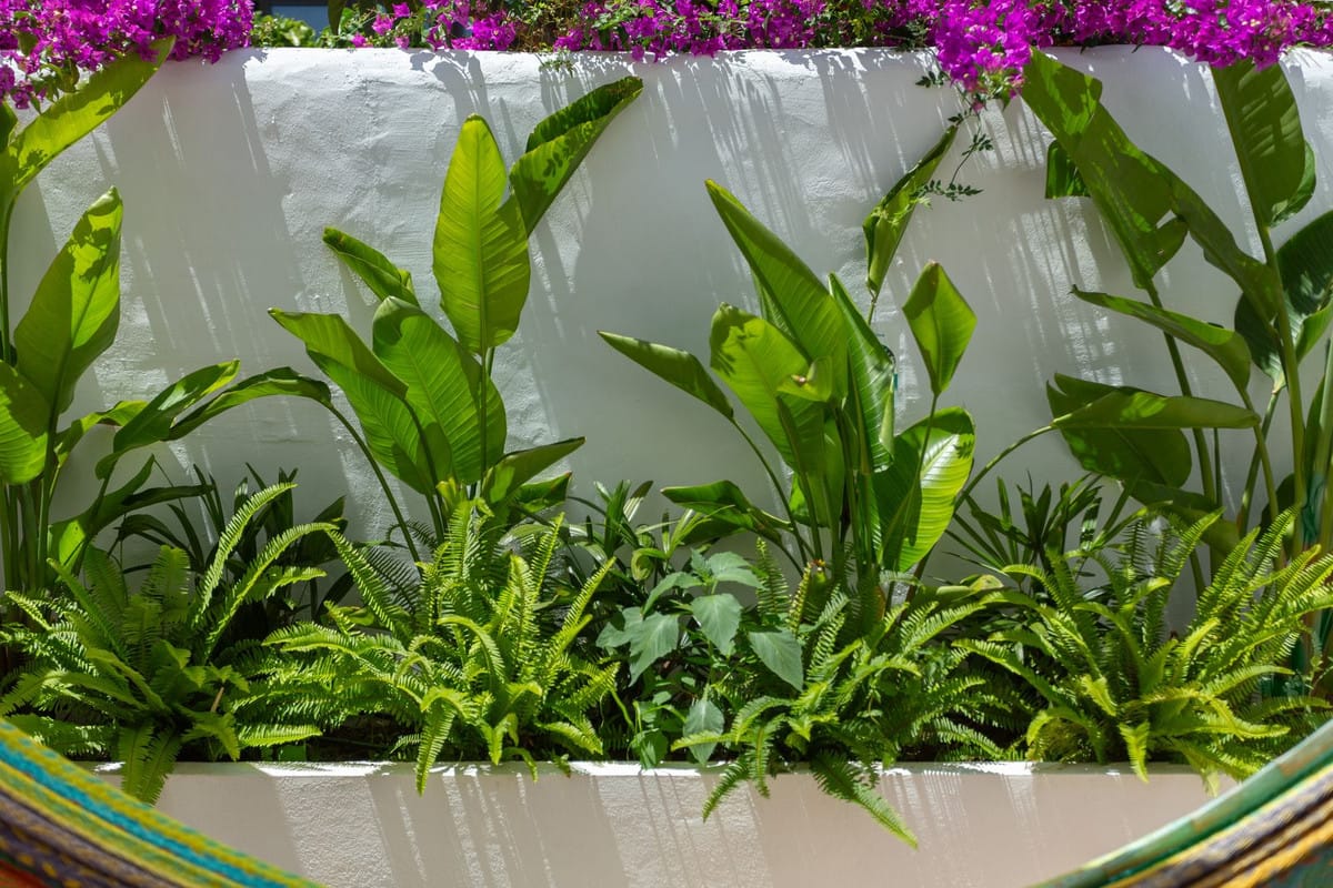 1-slaapkamer stadswoning in New Golden Mile in New Golden Mile - foto 6