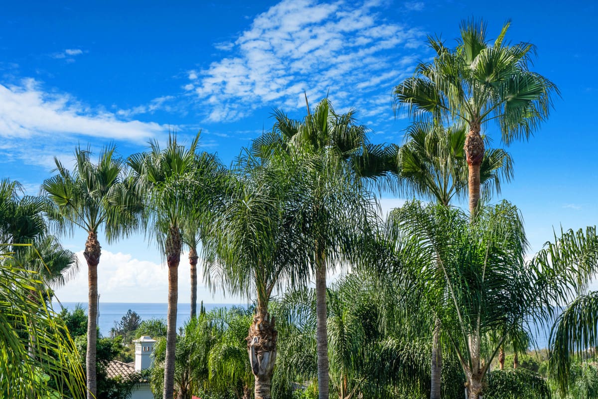 Vijf-slaapkamer villa op The Golden Mile, Marbella in The Golden Mile - foto 3