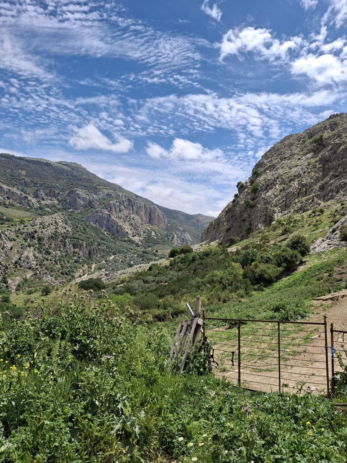 Kavel in Alfarnatejo (Montes de Málaga) – 68 hectare in Alfarnatejo - foto 14