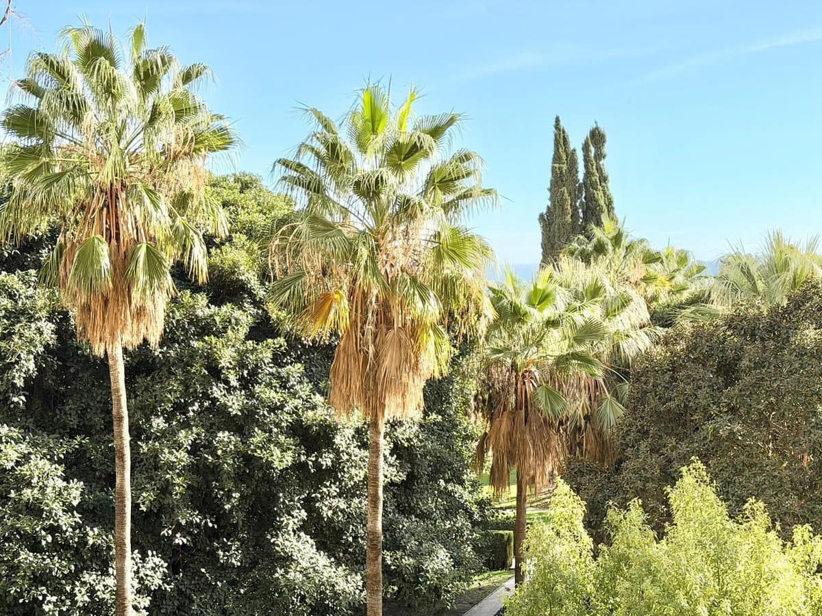 1-slaapkamer appartement in Benalmádena Costa in Benalmadena Costa - foto 2