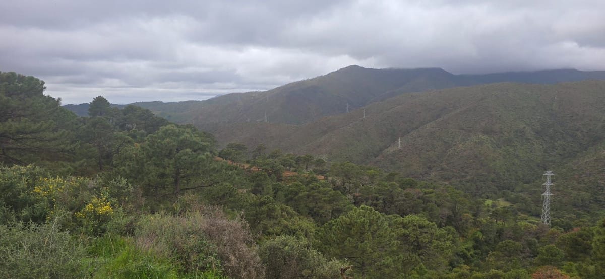 Kavel in Benahavís met panoramisch uitzicht en vergunning in Benahavís - foto 10