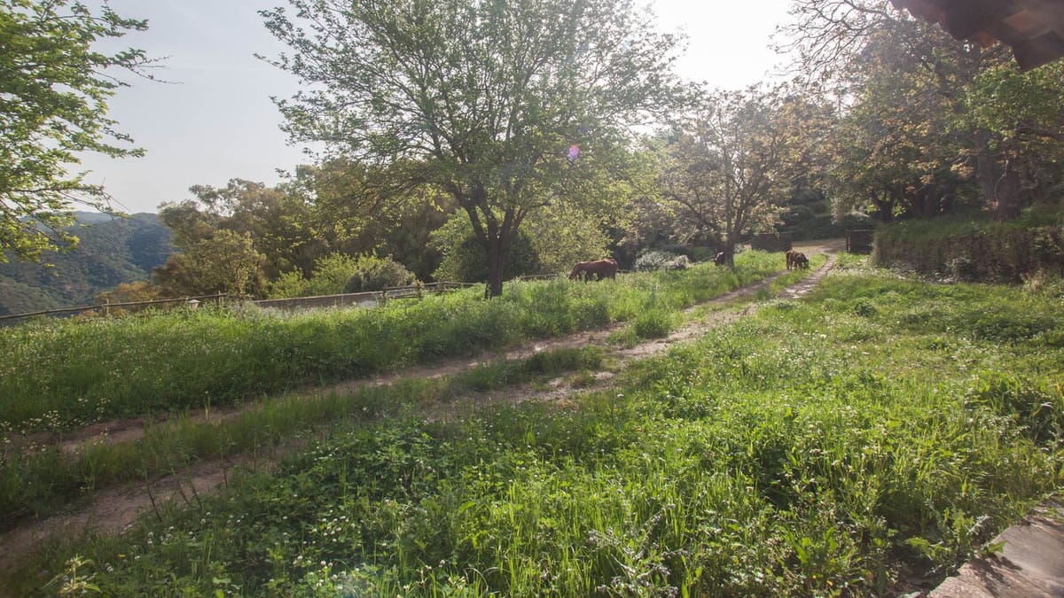 Finca met 3 slaapkamers in Gaucín in Gaucín - foto 11