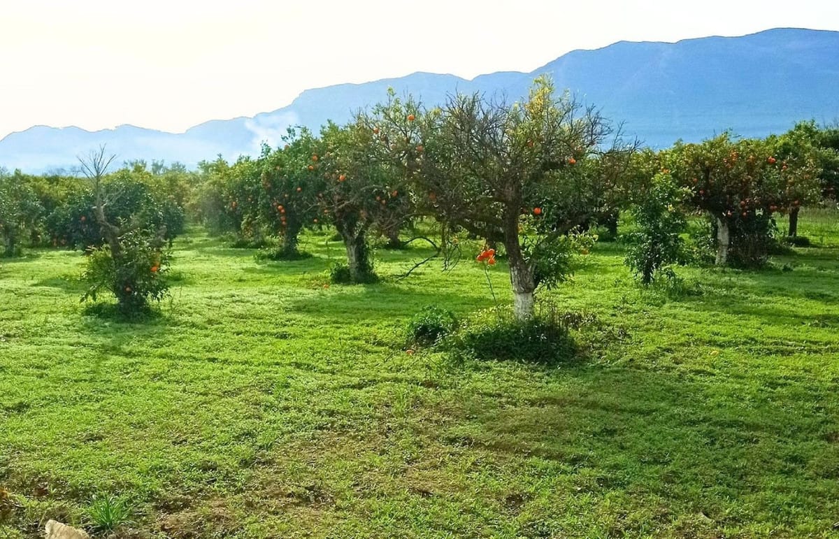Perceel in Alhaurín el Grande in Alhaurín el Grande - foto 2