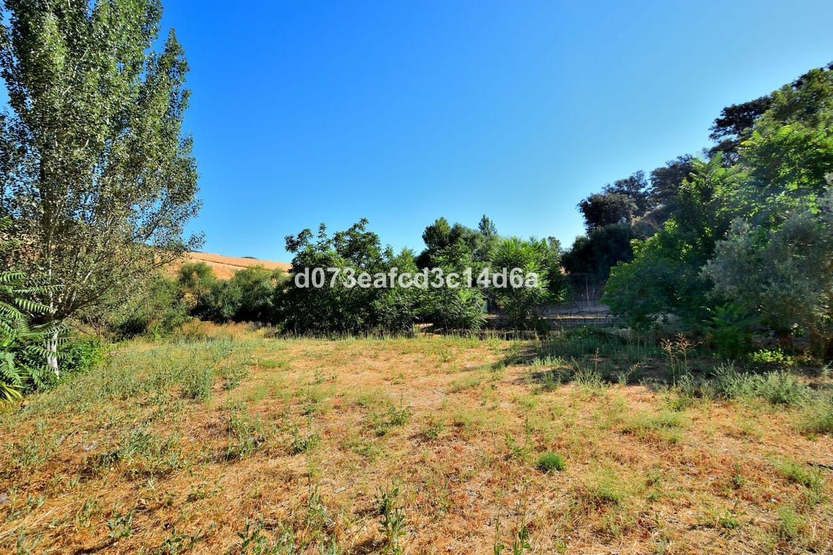 Finca met geïntegreerde woning en pluimveehouderij in Arriate (Málaga) in Arriate - foto 16