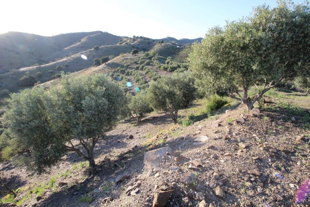 Kavel te koop in Benajarafe, Málaga in Benajarafe - foto 2