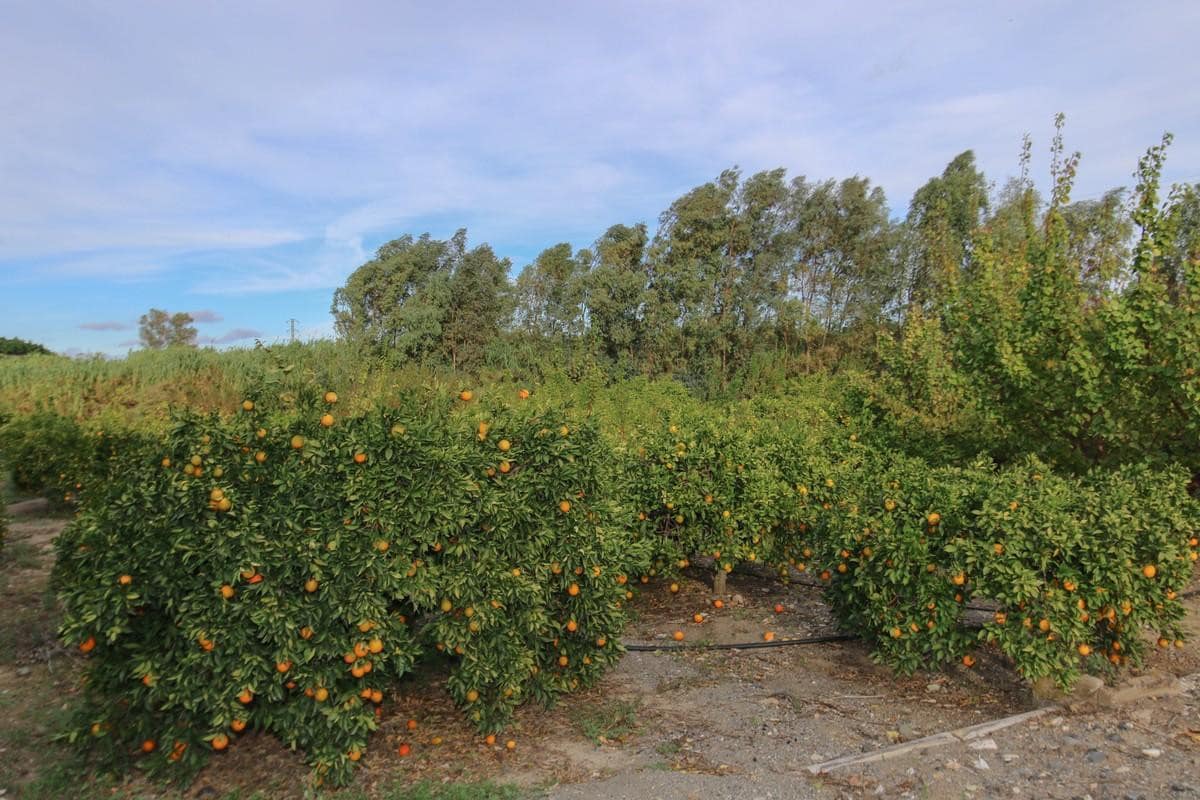 Kavel in Coín in Coín - foto 16