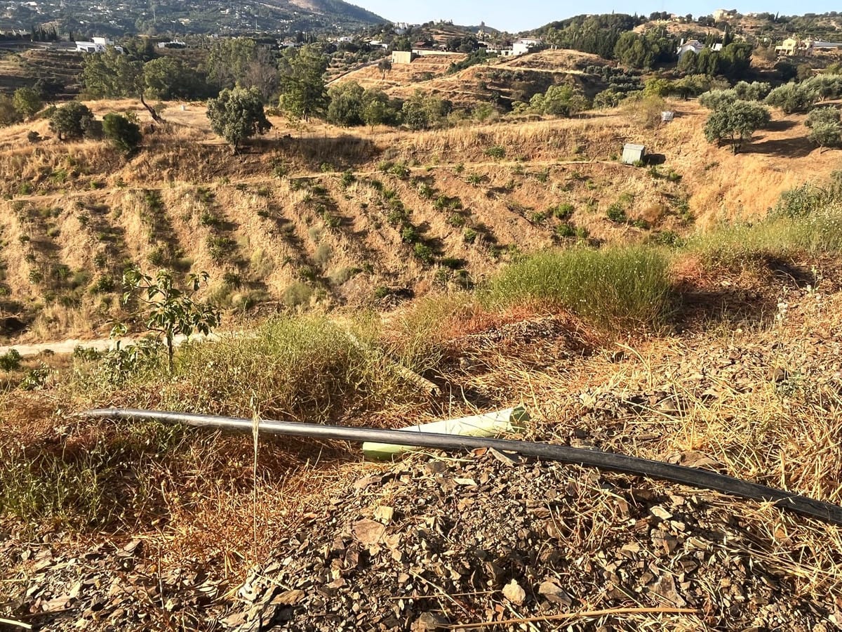 Kavel van 18.000 m² met avocado- en fruitboomgaard in Alhaurín el Grande in Alhaurín el Grande - foto 16