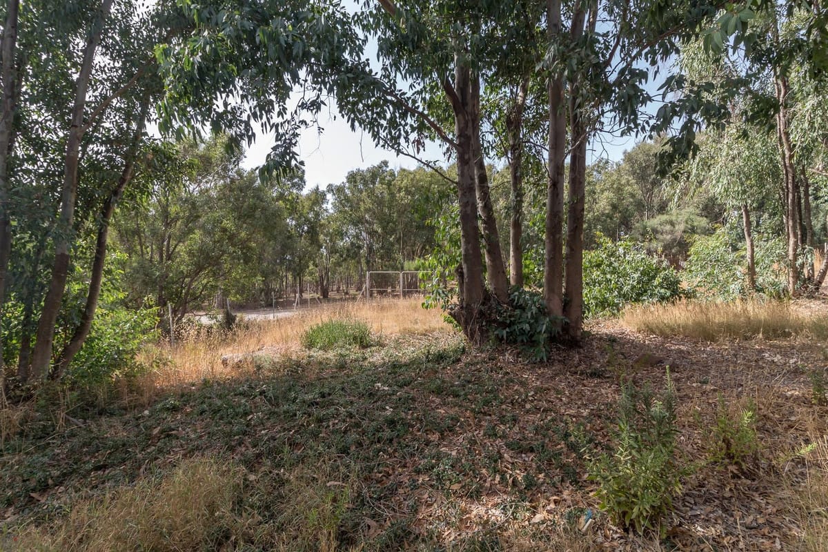 Kavel met zeezicht in Manilva in Manilva - foto 9