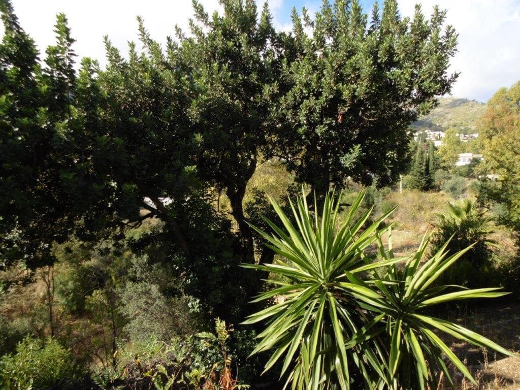 5-slaapkamer villa in Mijas in Mijas - foto 16