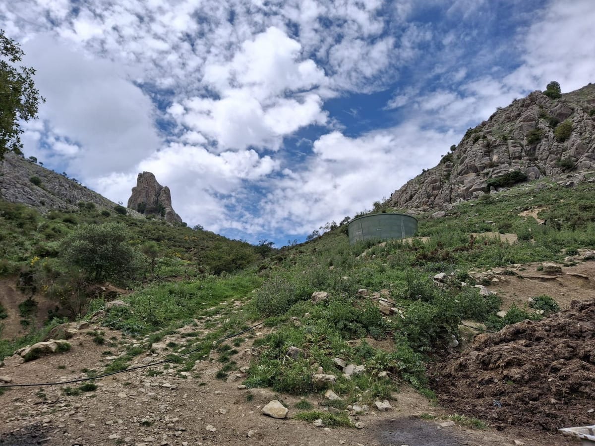 Kavel in Alfarnatejo – Natuurlijk paradijs te koop in Alfarnatejo - foto 14