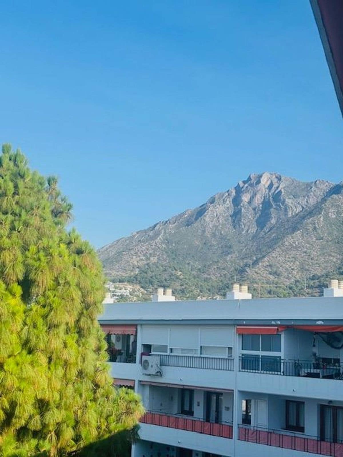 1 bedroom Apartment in Marbella in Marbella - foto 12