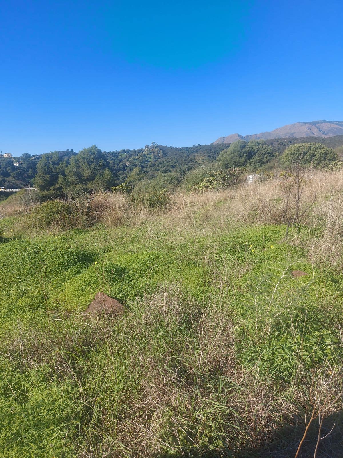 Huis met 2 slaapkamers in Estepona in Estepona - foto 13