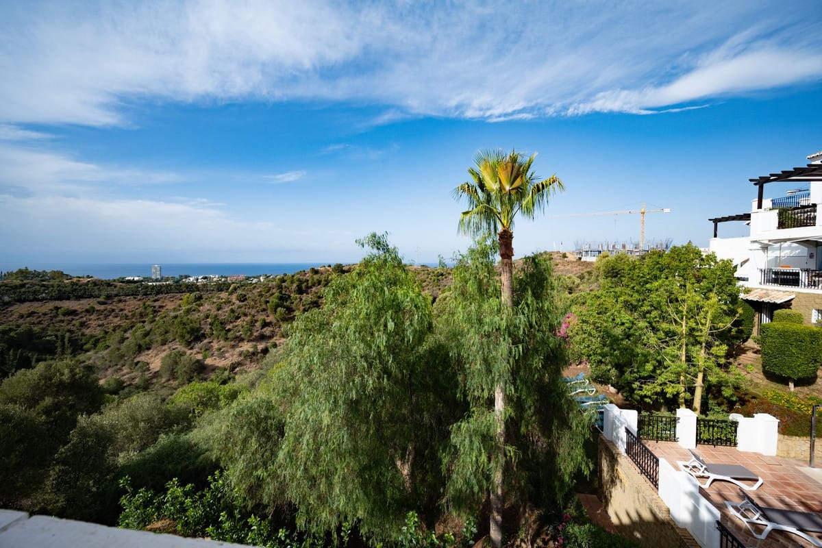 Duplex-penthouse met 2 slaapkamers in Altos de Los Monteros in Altos de los Monteros - foto 3