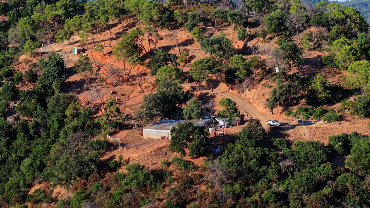 Kavel in Estepona – 615.000 m² historisch landgoed met drie kavels in Estepona - foto 9