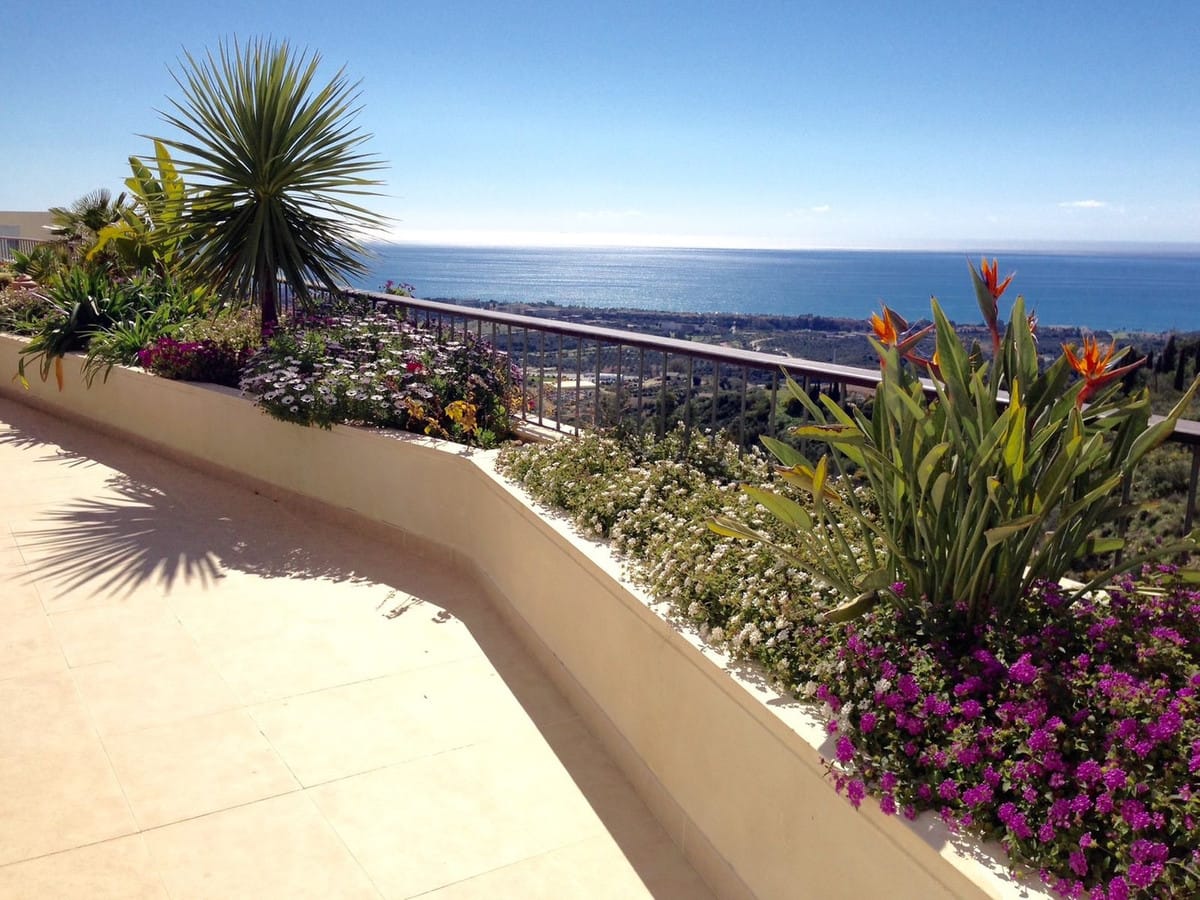 3 bedroom Apartment in Altos De Los Monteros in Altos de los Monteros - foto 5