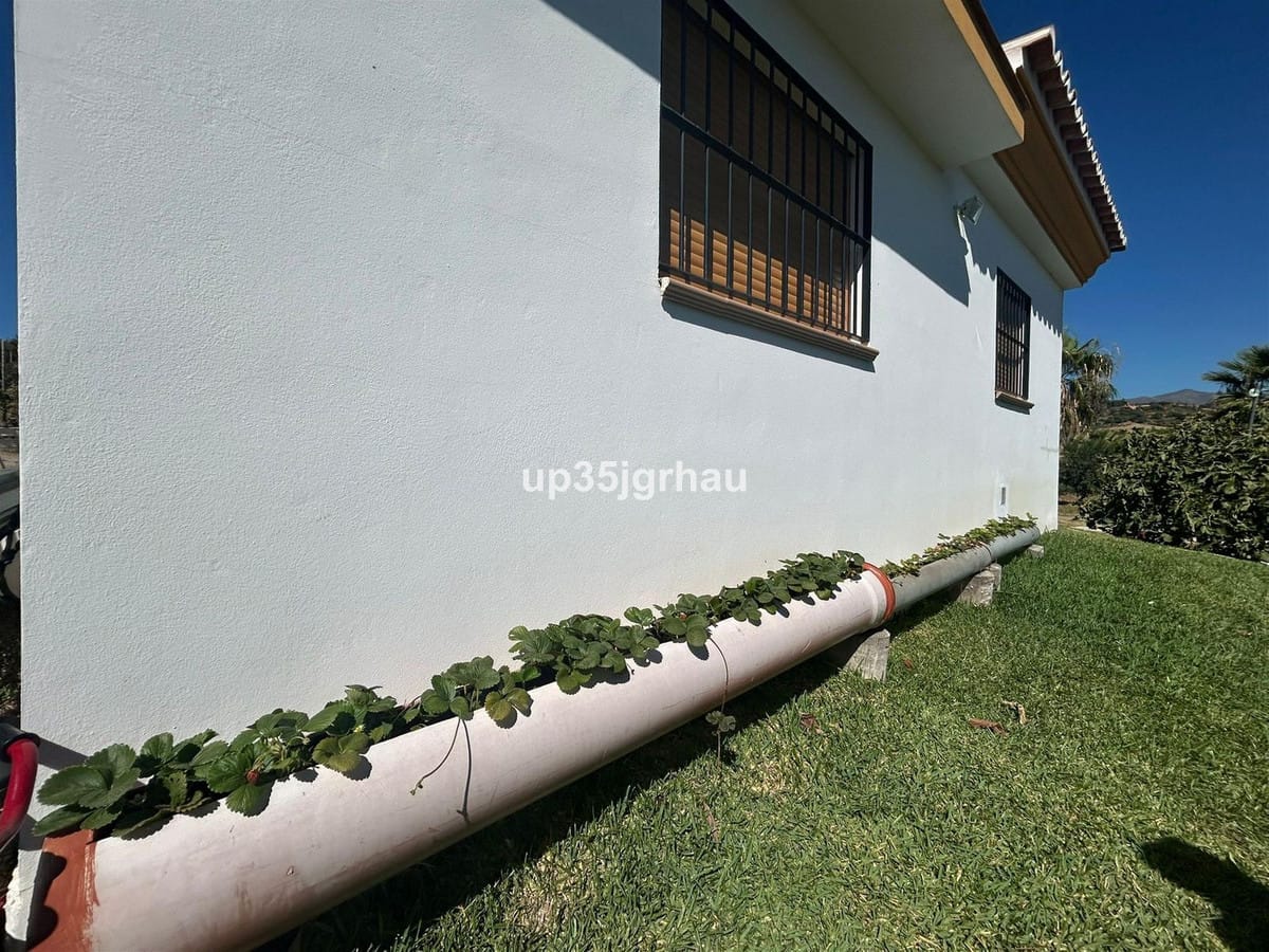 Finca – Cortijo met 1 slaapkamer in Estepona in Estepona - foto 2