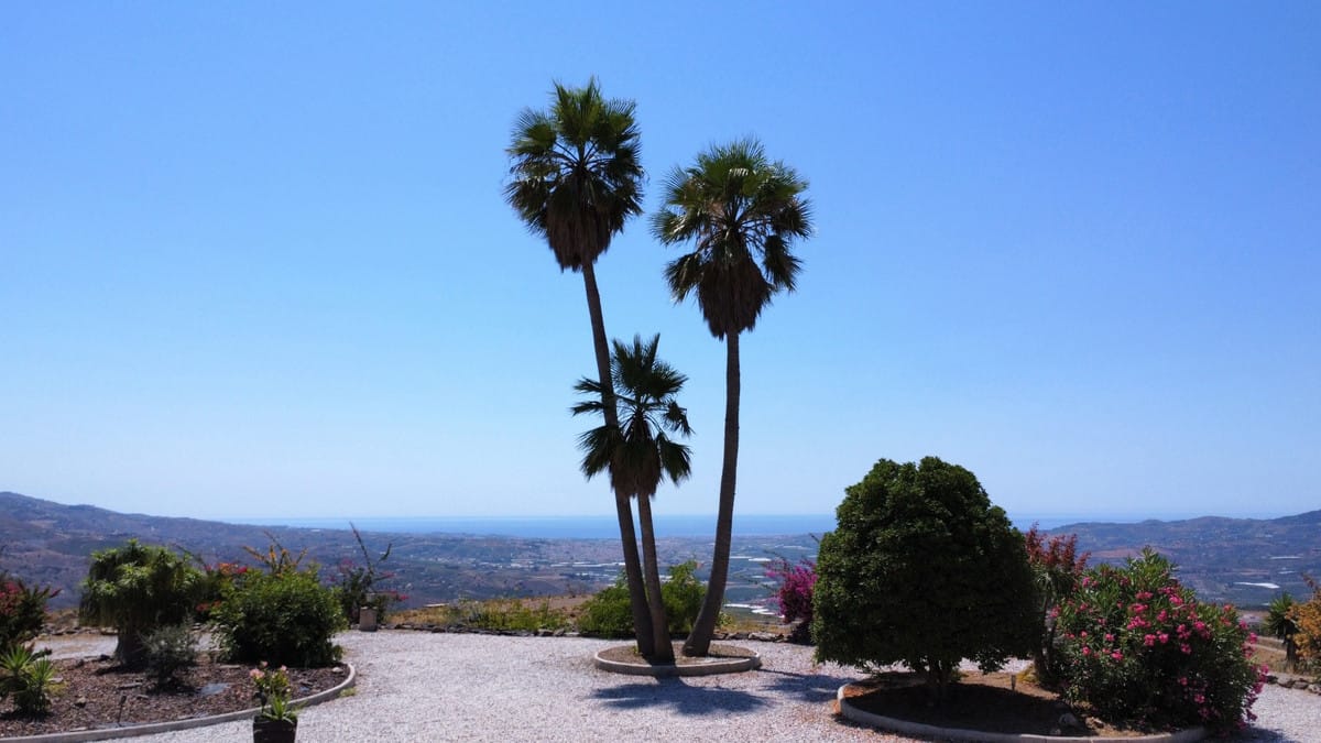 Villa met 4 slaapkamers in El Trapiche in El Trapiche - foto 2