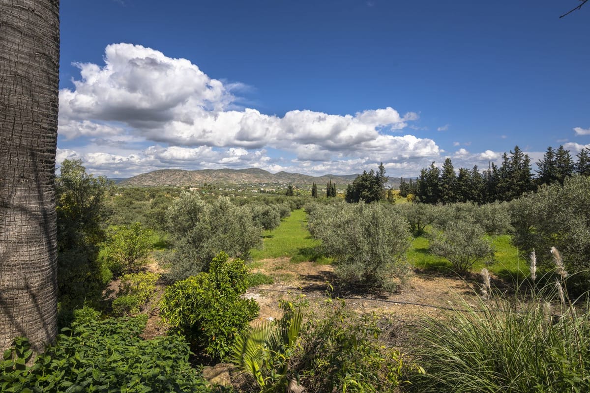 9-slaapkamer finca in Alhaurín el Grande in Alhaurín el Grande - foto 16