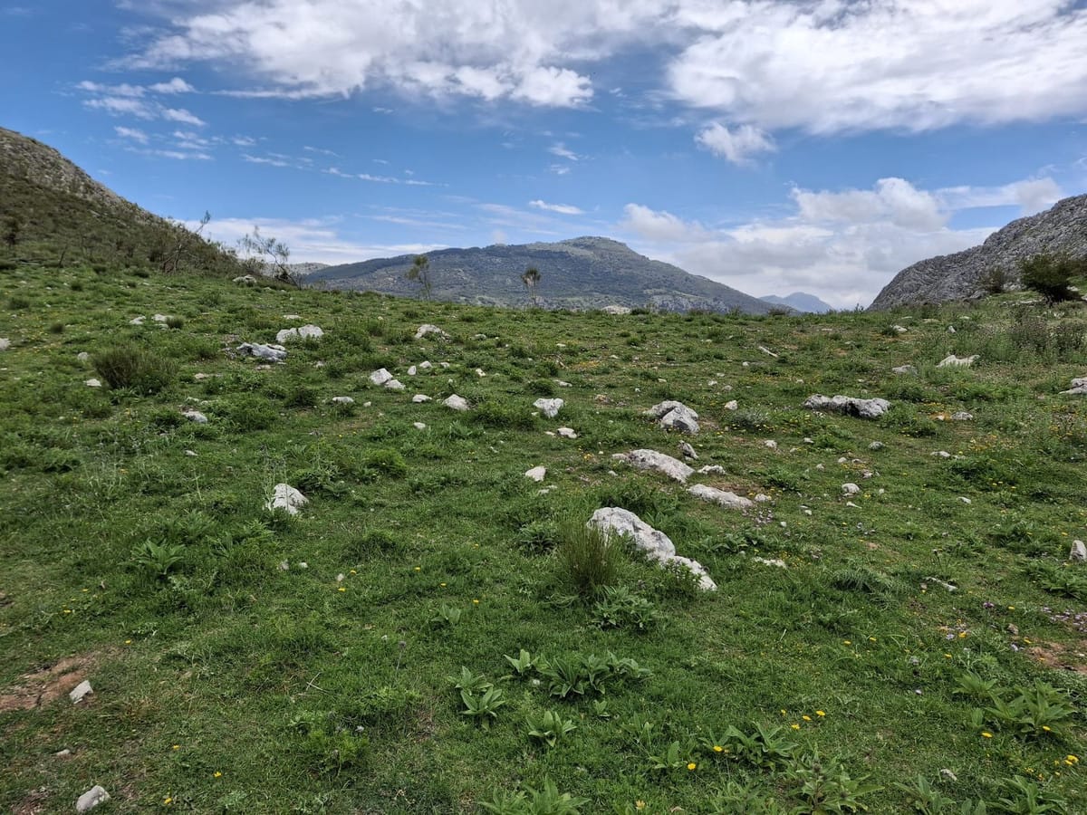 Kavel in Alfarnatejo – Natuurlijk paradijs te koop in Alfarnatejo - foto 3