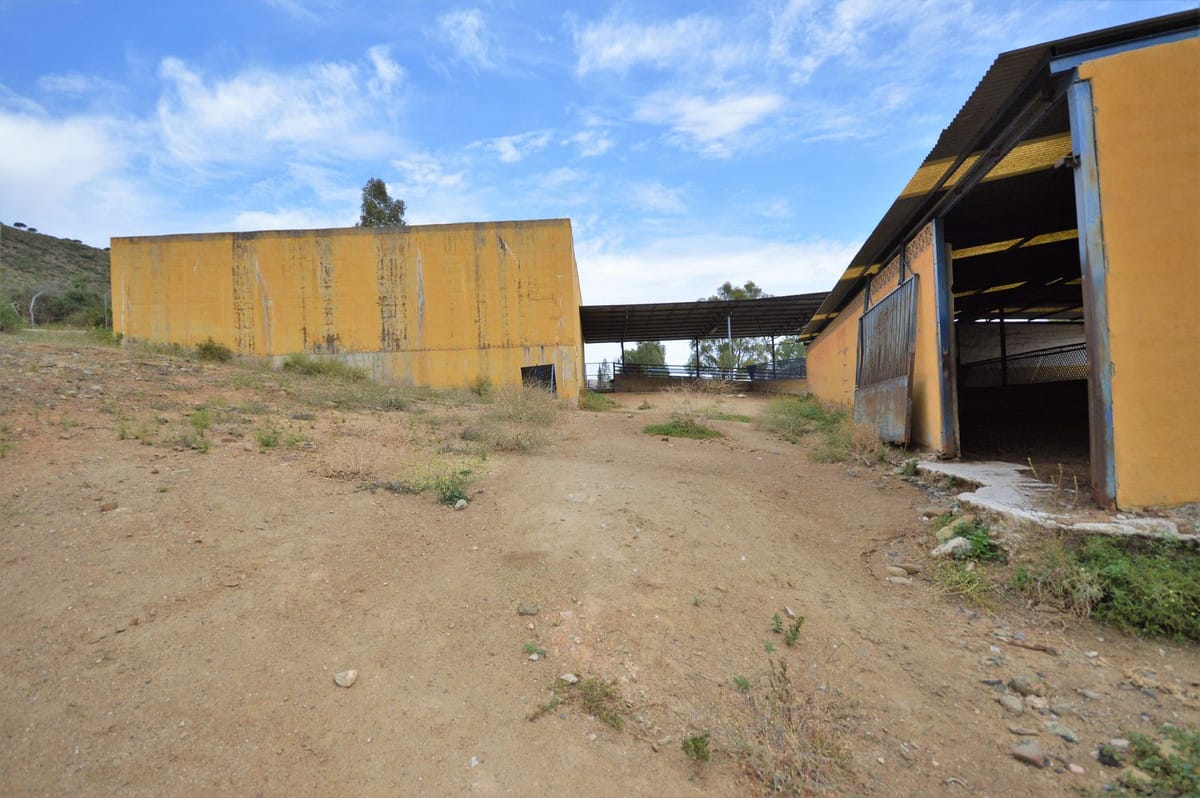 9-slaapkamer finca in Mijas in Mijas - foto 10