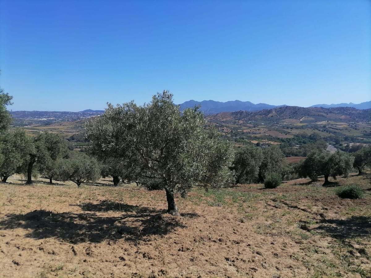 4-slaapkamer finca in Coín met privézwembad en berg- en daluitzicht in Coín - foto 6