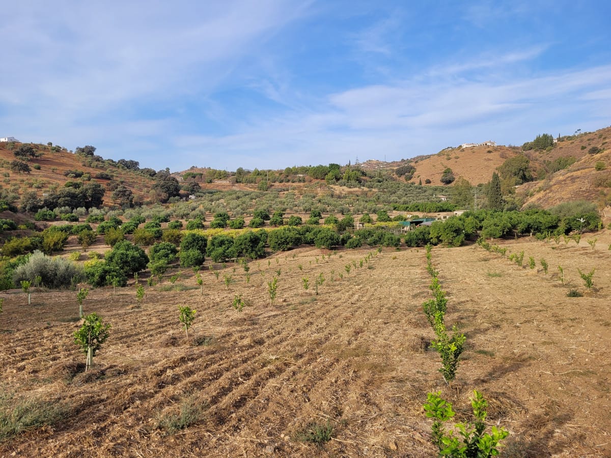 Kavel in Guaro in Guaro - foto 5