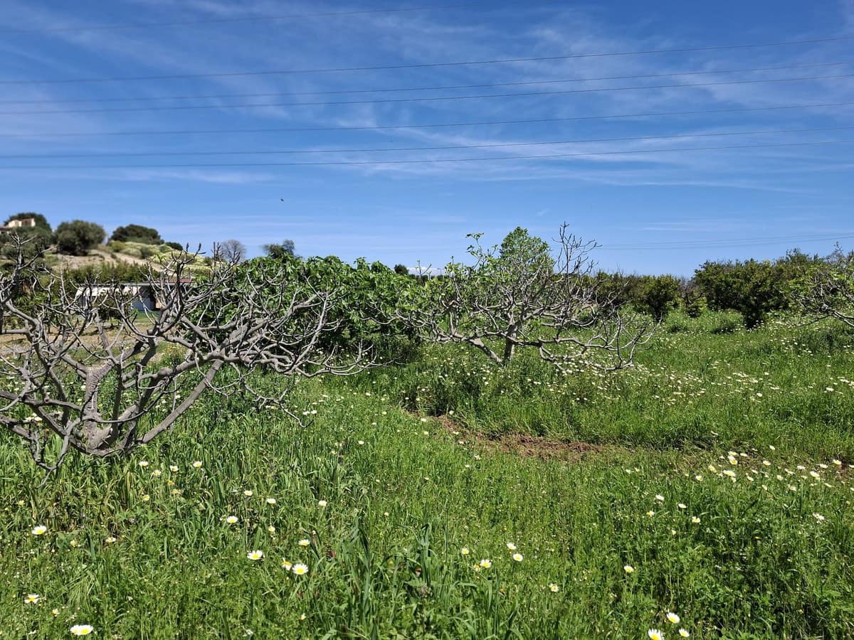 Kavel te koop in Alhaurín de la Torre in Alhaurín de la Torre - foto 9