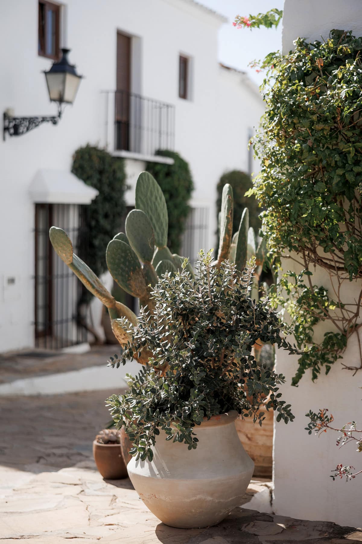 2-slaapkamer stadswoning in Nueva Andalucía (El Naranjal) in Nueva Andalucía - foto 11