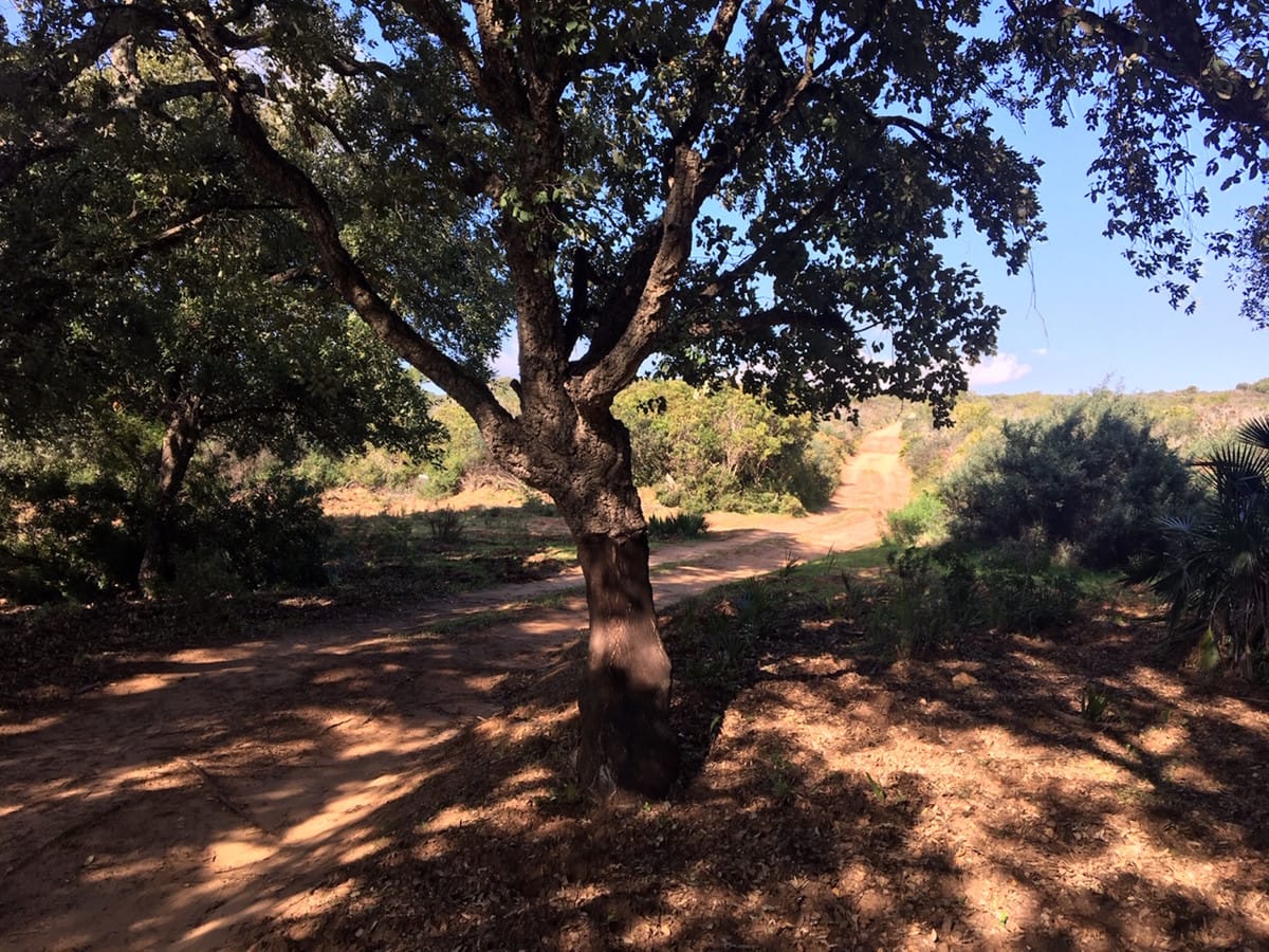 Perceel te koop in Manilva, Costa del Sol in Manilva - foto 20