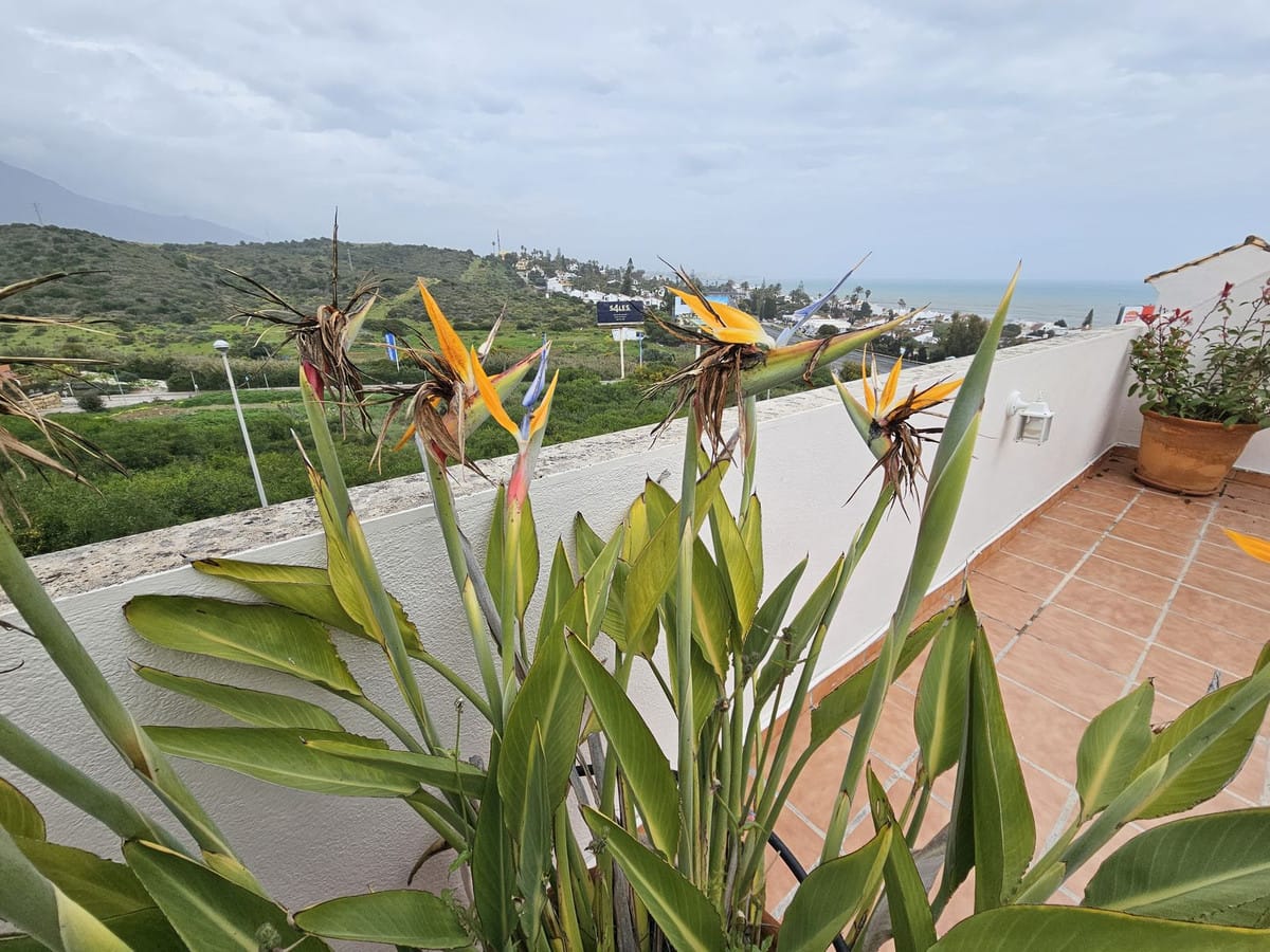 2-slaapkamer appartement in Estepona in Estepona - foto 20