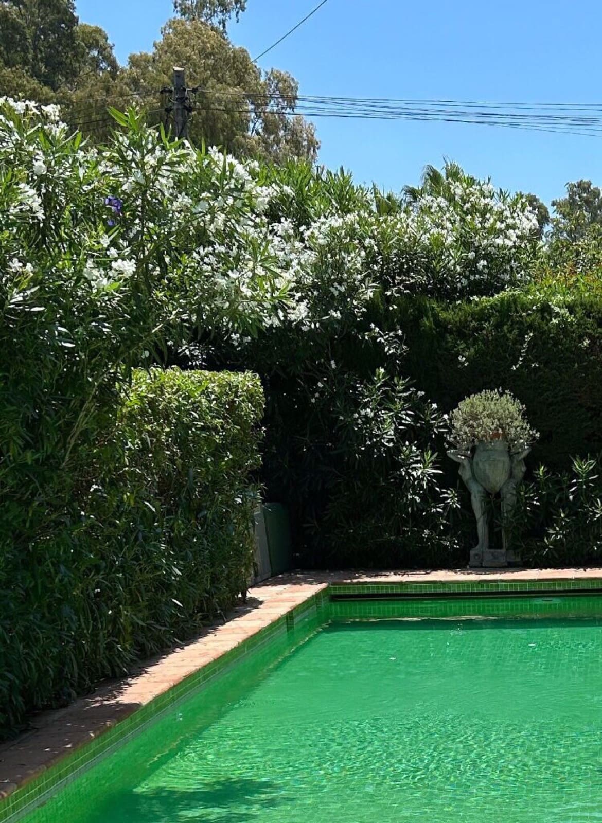 3-slaapkamer villa in San Pedro de Alcántara in San Pedro de Alcántara - foto 5