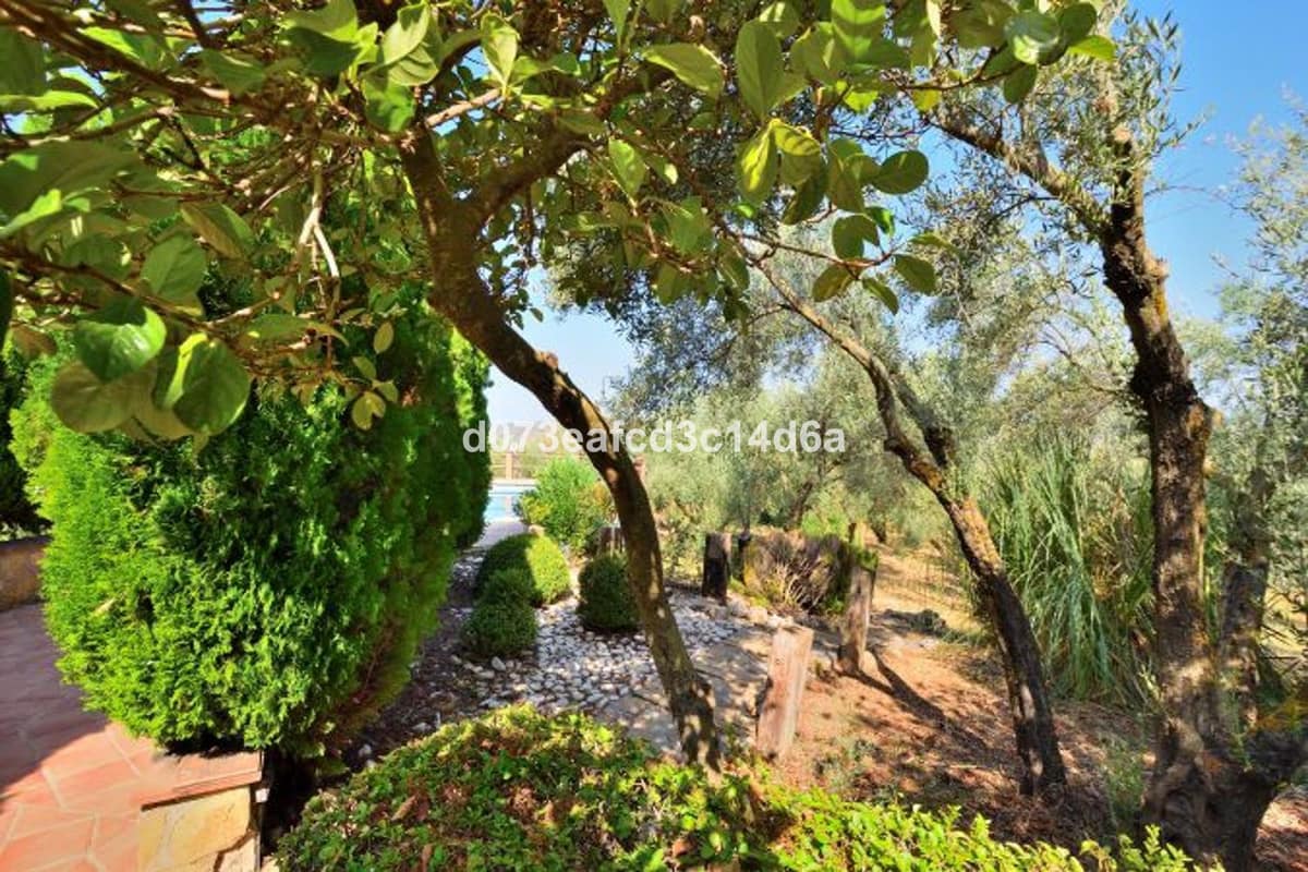 5 bedroom House in Arriate in Arriate - foto 12