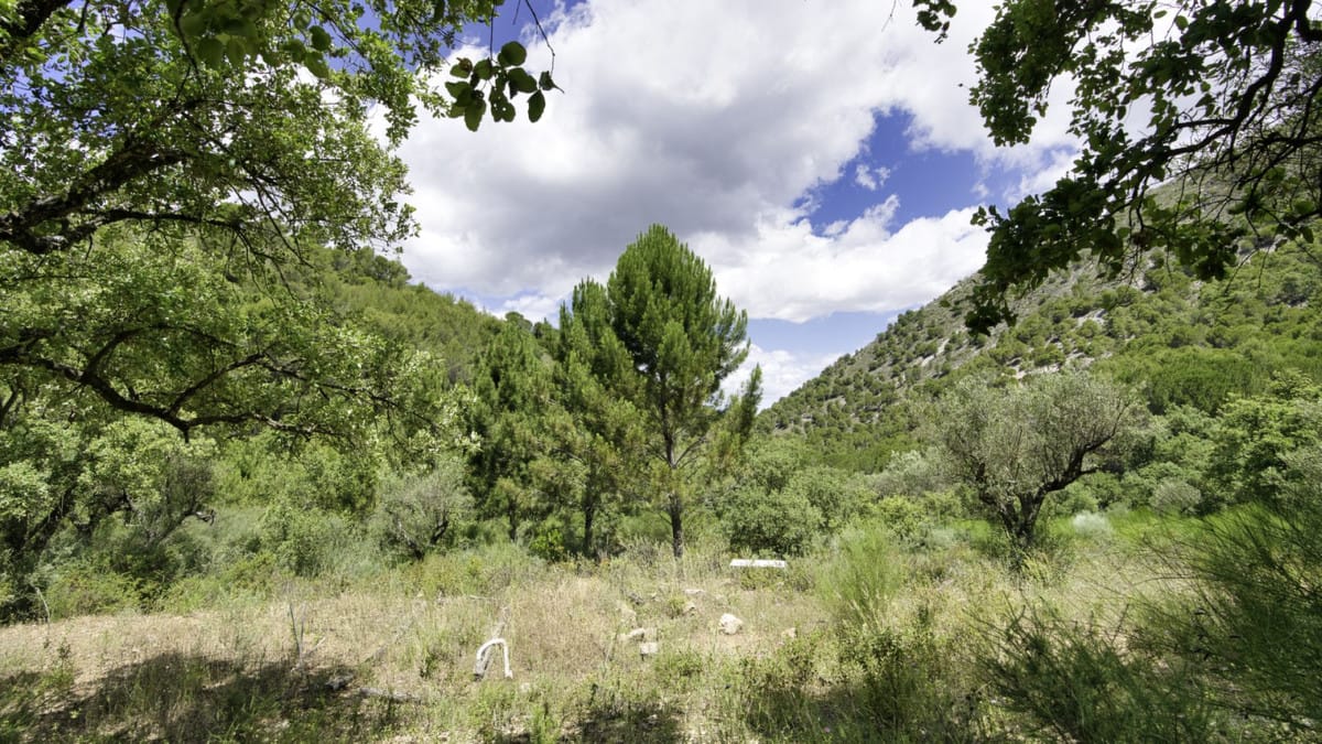 Kavels in Coín tussen Coín en Alhaurín Golf met zeezicht in Coín - foto 13