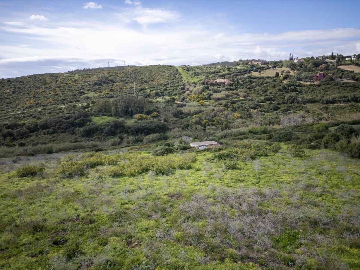 Groot rustiek perceel met potentieel in La Duquesa (Manilva) in La Duquesa - foto 8