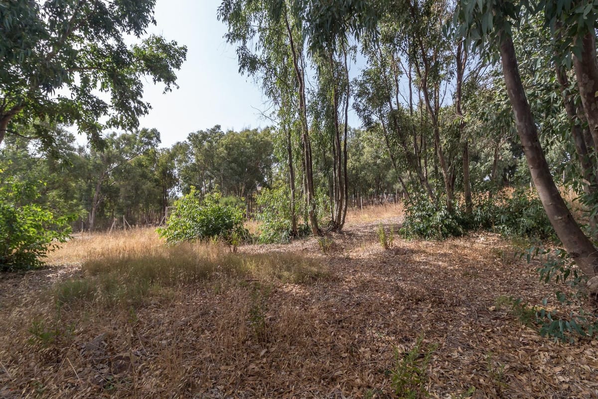 Kavel met zeezicht in Manilva in Manilva - foto 10