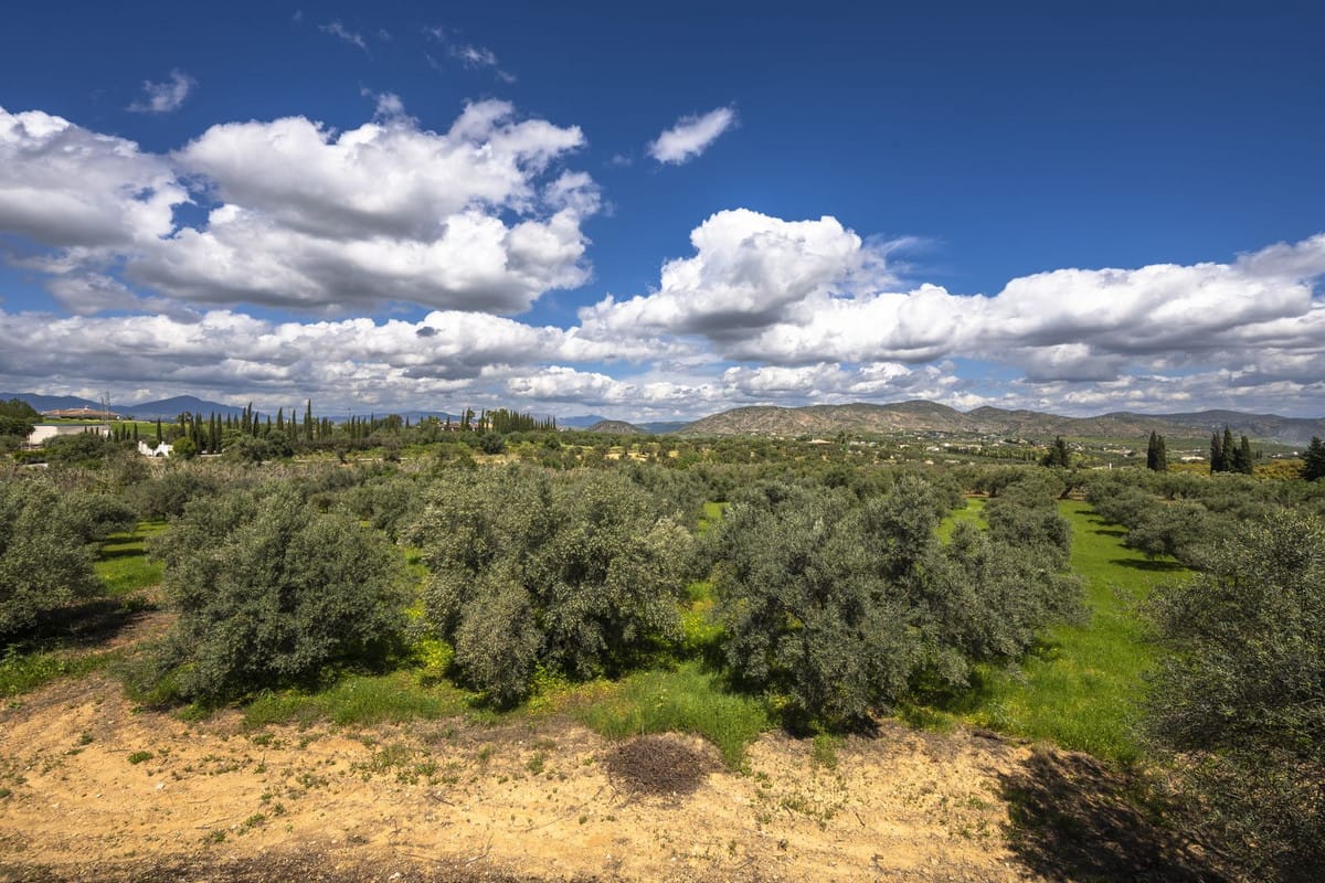 9-slaapkamer finca in Alhaurín el Grande in Alhaurín el Grande - foto 20