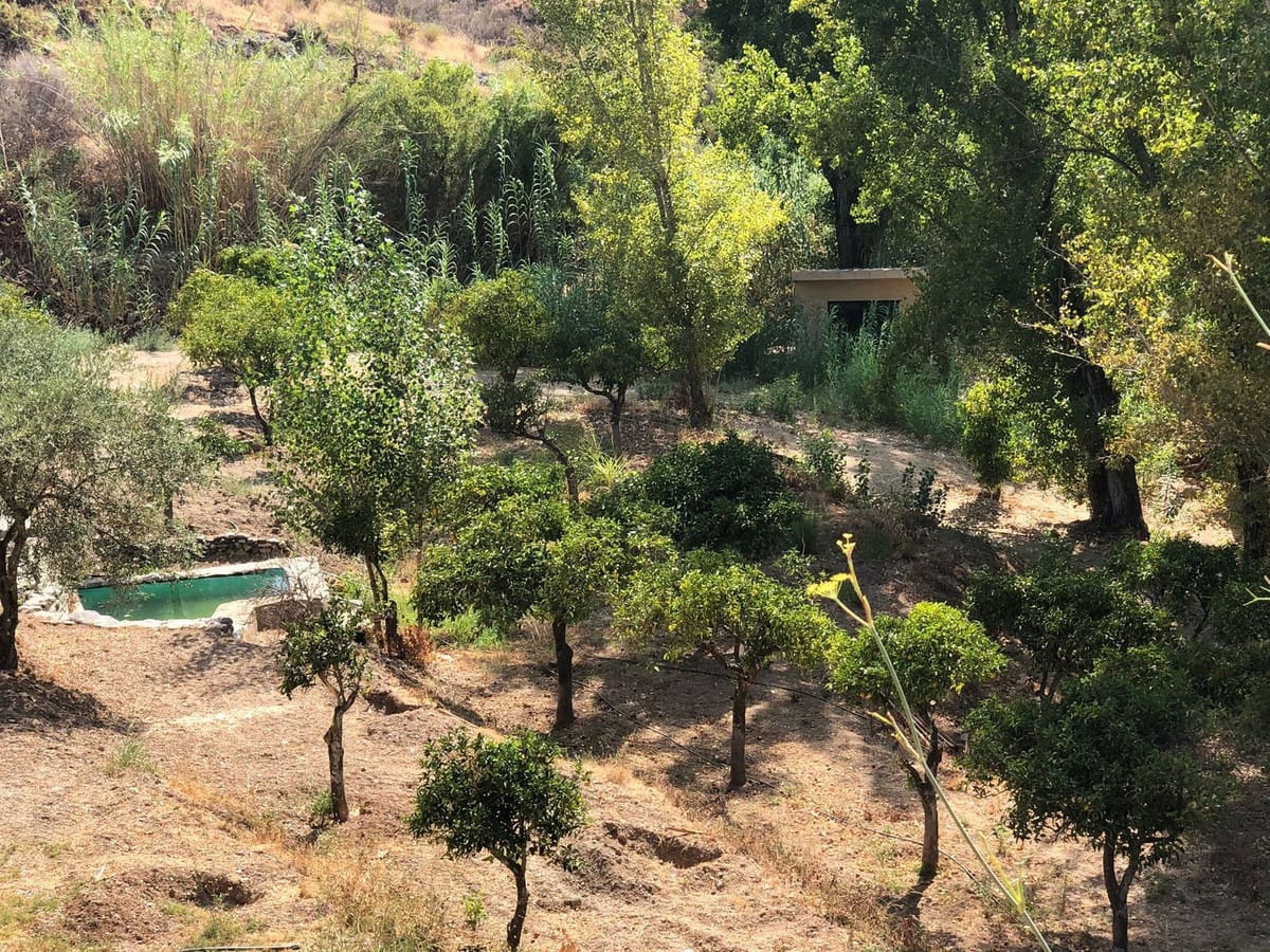 1-slaapkamer finca in Guaro met authentiek Andalusisch karakter in Guaro - foto 8