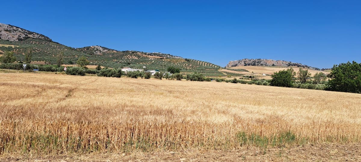 Bouwkavel met 31 kavels, wegen en groenvoorzieningen in Cuevas del Becerro (8191 m2) in Cuevas del Becerro - foto 15