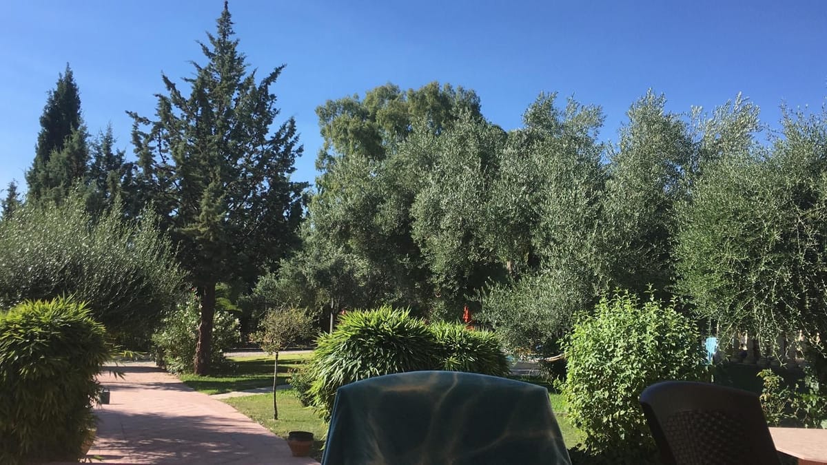 Finca met 4 slaapkamers in Ronda in Ronda - foto 6