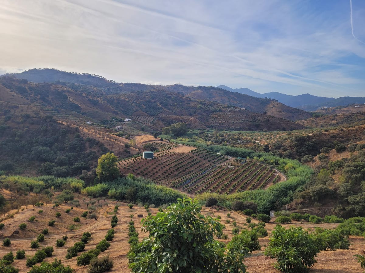 Kavel in Guaro in Guaro - foto 4