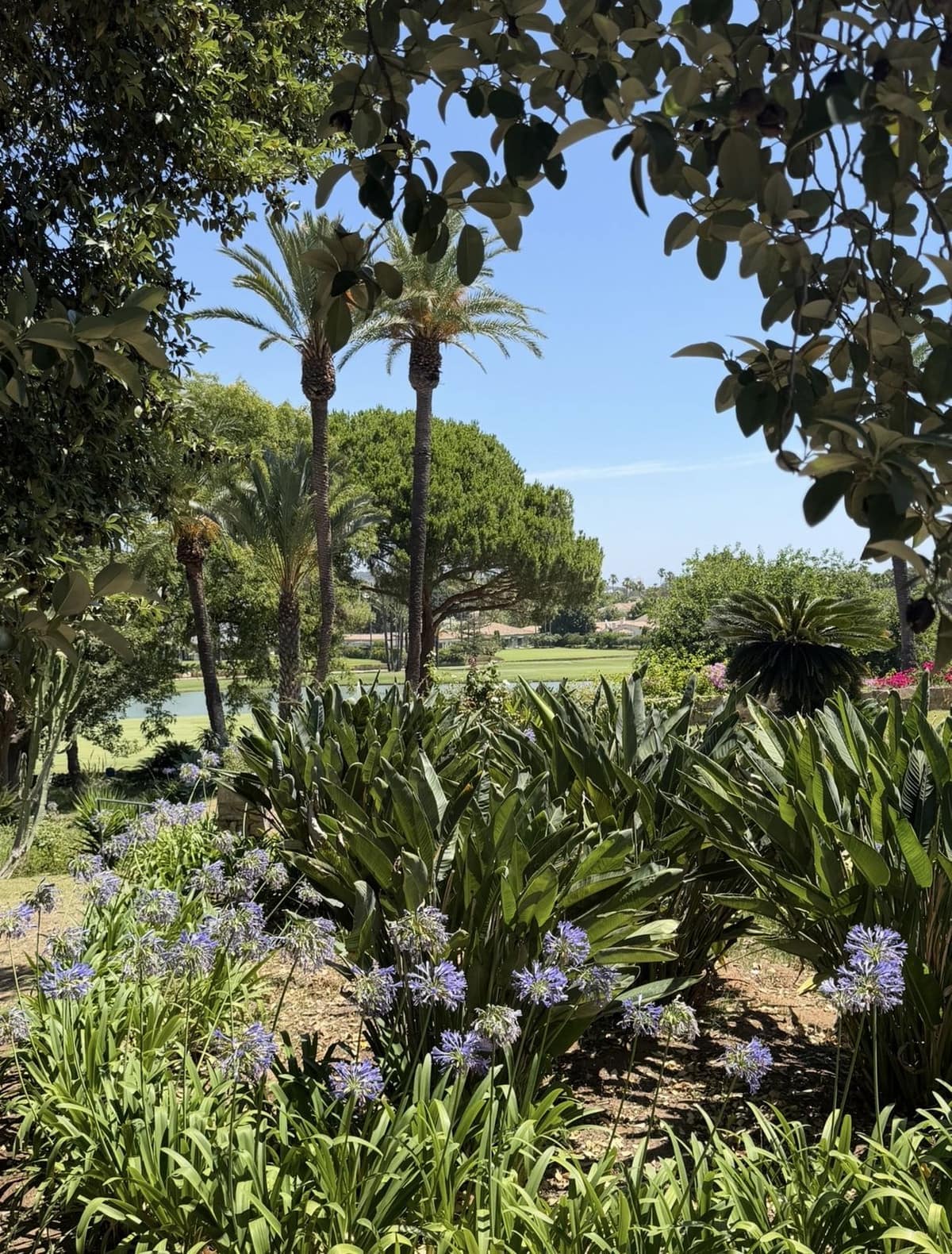 5-slaapkamer villa in Sotogrande Costa – frontlijn golf en herontwikkelingskans in Sotogrande Costa - foto 3