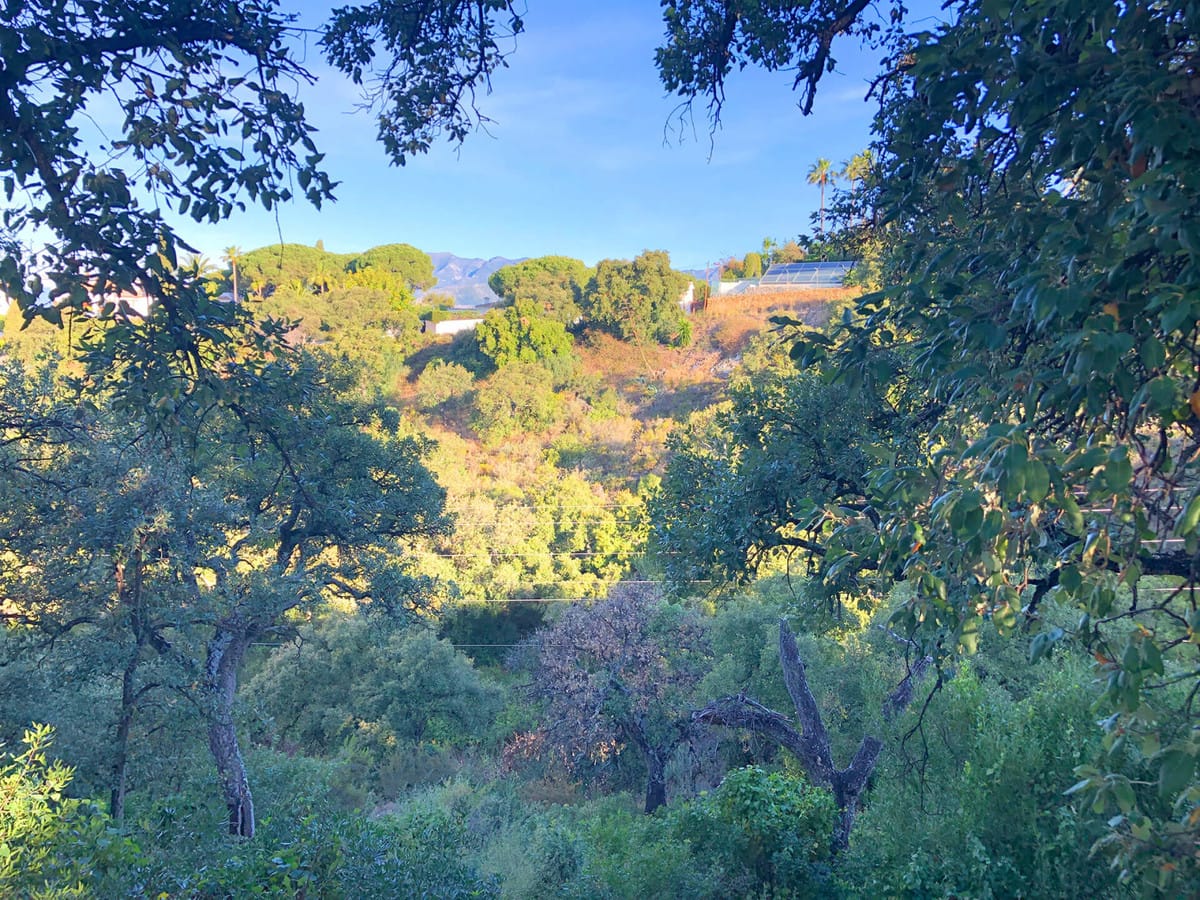 19 kavels te koop in Elviria, Marbella in Elviria - foto 5