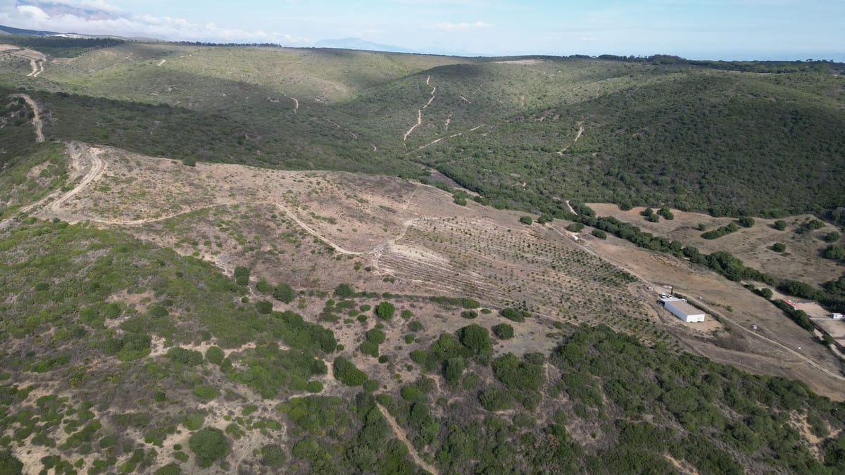 Kavel in Manilva, Málaga – 10 ha land met 212 m2 bebouwd in Manilva - foto 7