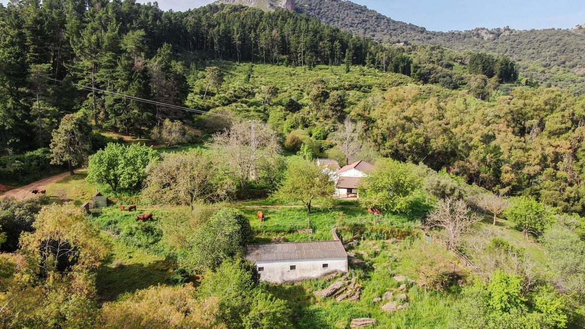 Finca met 3 slaapkamers in Gaucín in Gaucín - foto 14