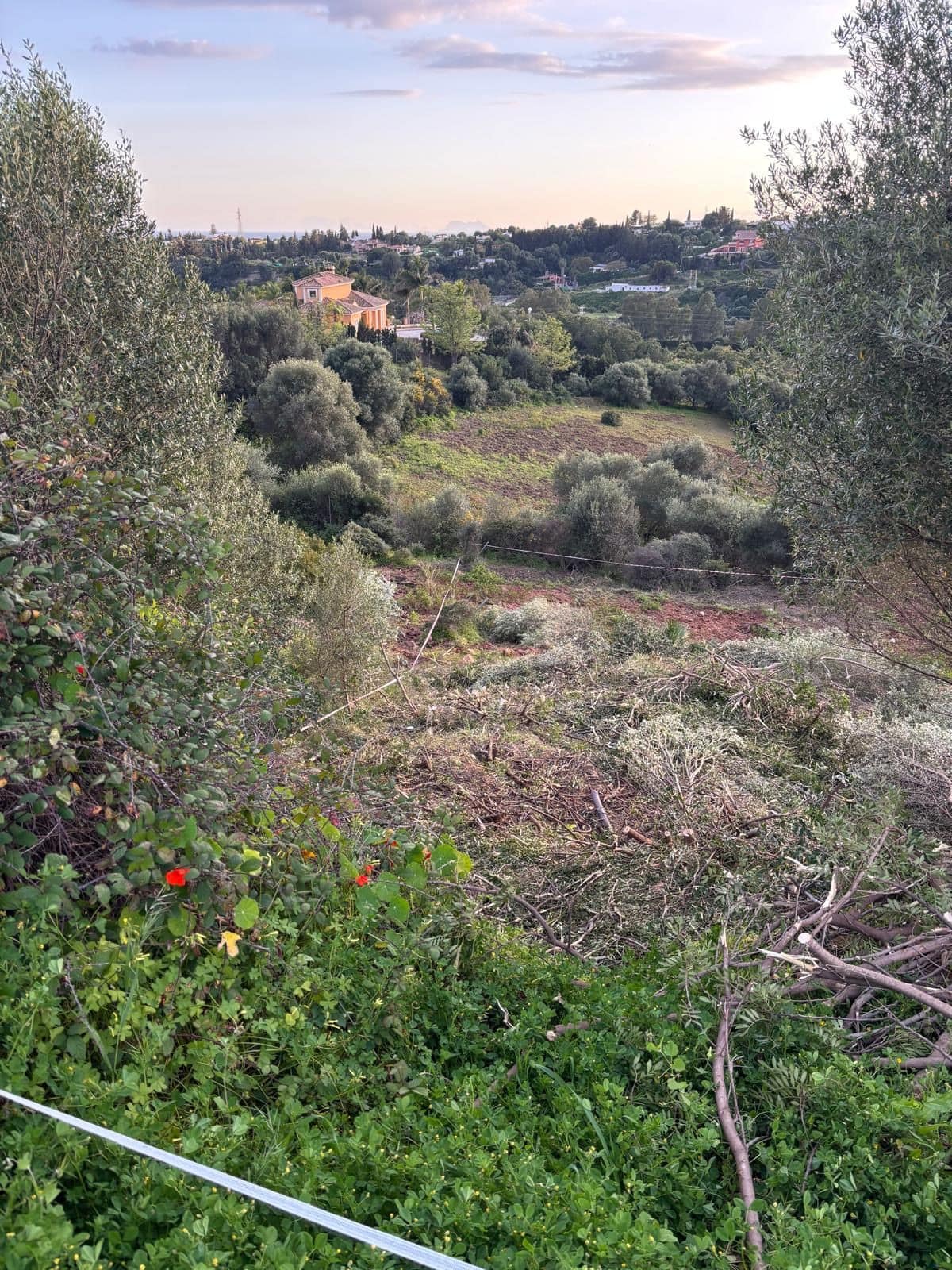 Plot in Estepona in Estepona - foto 2