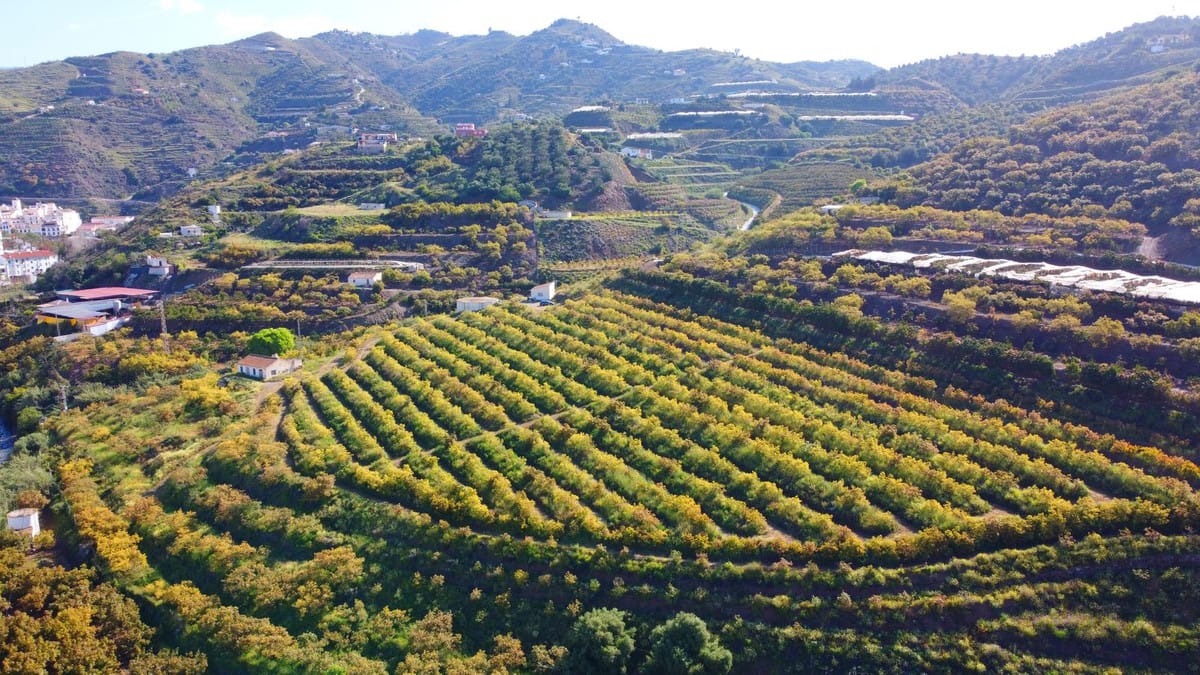 Finca met 46.013 m² terrein en 1 slaapkamer in Algarrobo, Málaga in Algarrobo - foto 18