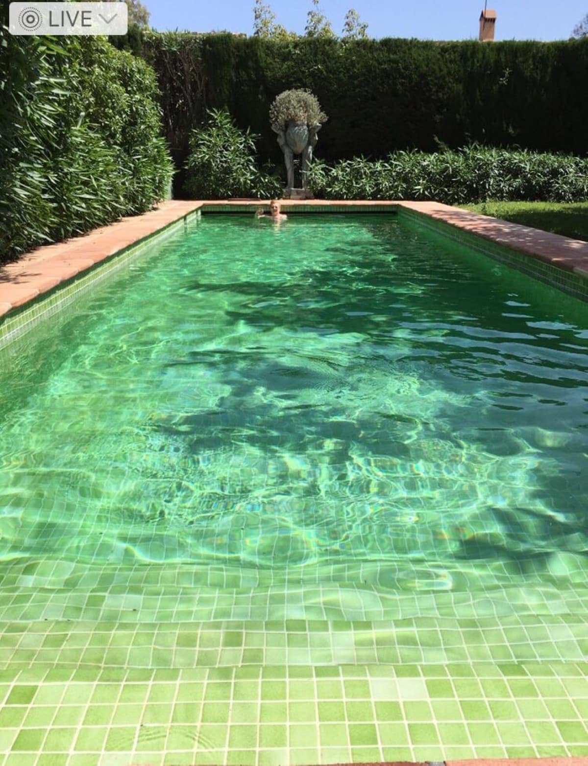 3-slaapkamer villa in San Pedro de Alcántara in San Pedro de Alcántara - foto 3