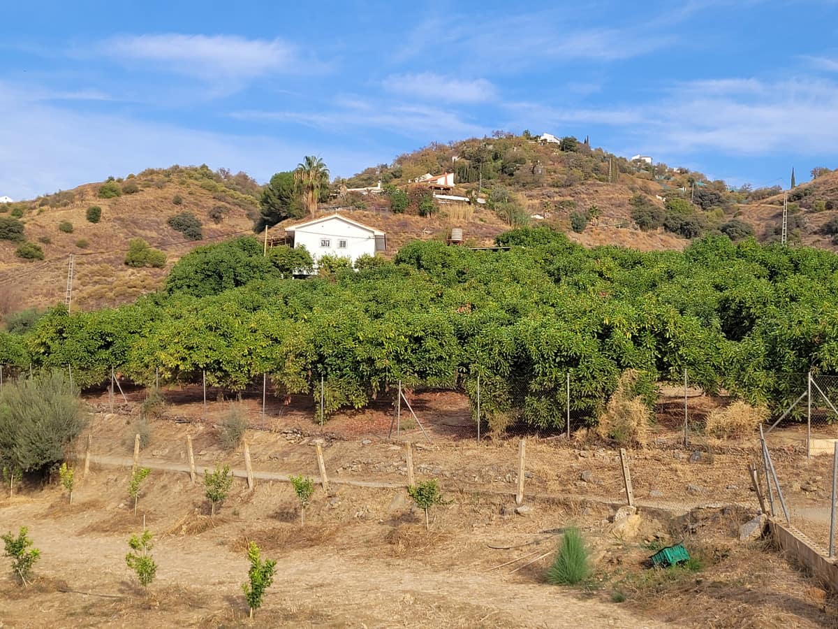 Kavel in Guaro in Guaro - foto 6