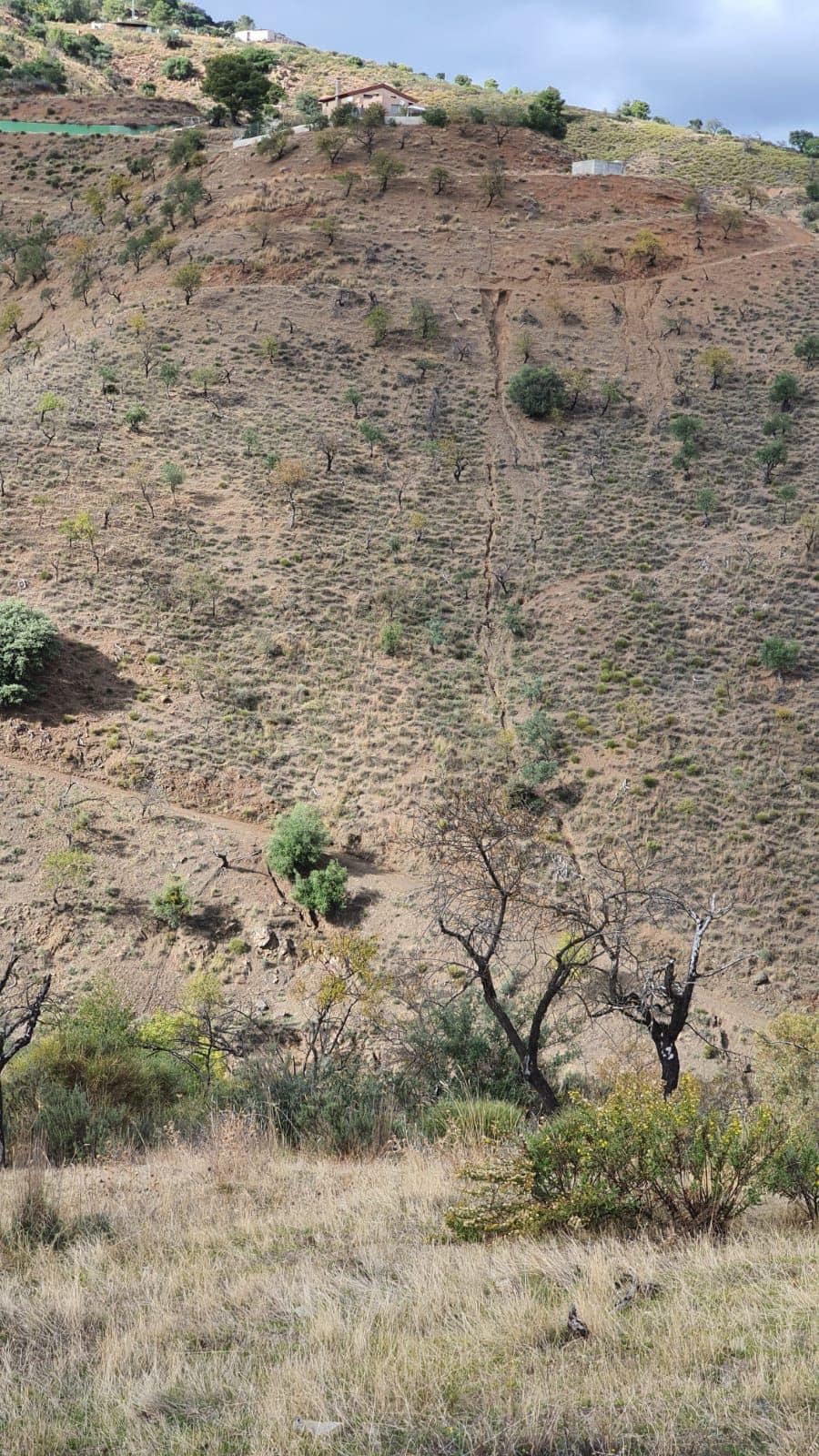 Finca met 5 slaapkamers in Guaro, Málaga in Guaro - foto 5