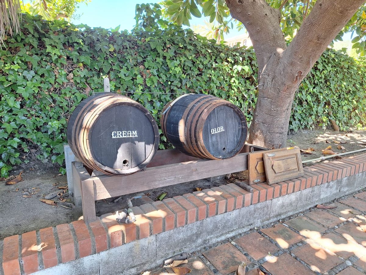 3-slaapkamer finca in Estepona met uitbreidingspotentieel in Estepona - foto 5